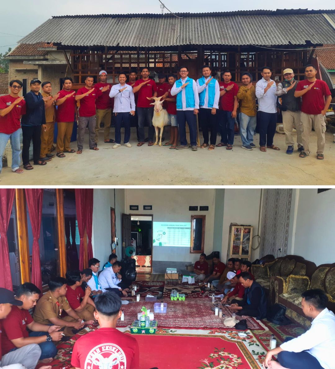 PLN INDONESIA POWER UBP KAMOJANG UNIT PLTP ULUBELU DUKUNG PENGEMBANGAN KAMBING PERAH KELOMPOK RIMBA JAYA MELALUI PROGRAM CSR